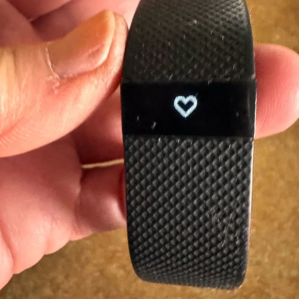 Fitbit Black Fitness Wristband